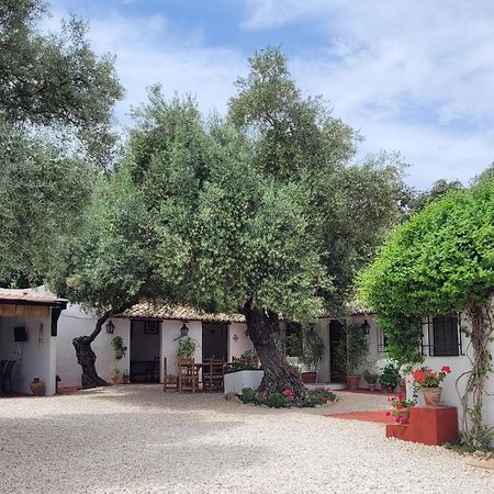 Casa Abanto Villa Ronda Kültér fotó