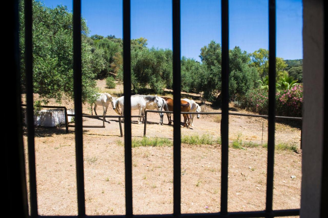 Casa Abanto Villa Ronda Kültér fotó
