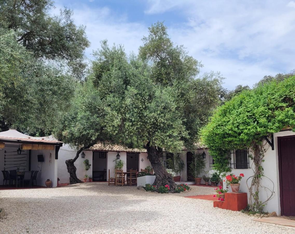 Casa Abanto Villa Ronda Kültér fotó