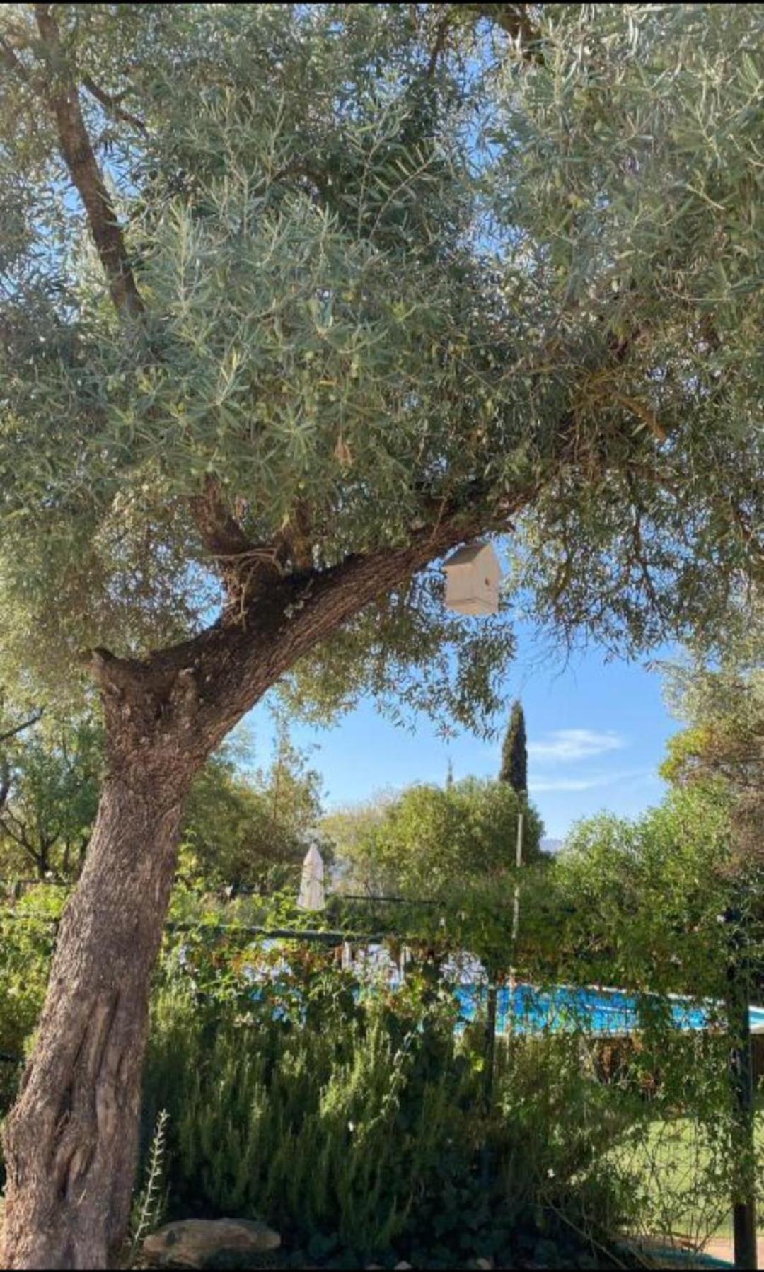 Casa Abanto Villa Ronda Kültér fotó