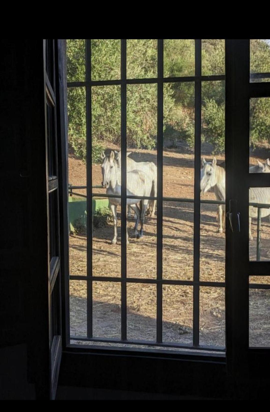 Casa Abanto Villa Ronda Kültér fotó